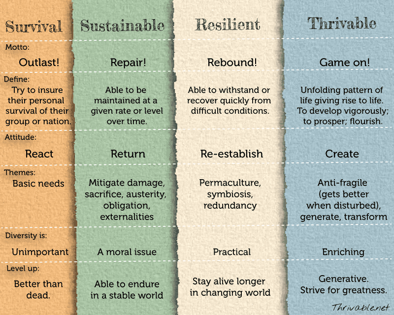 what is thrivability 