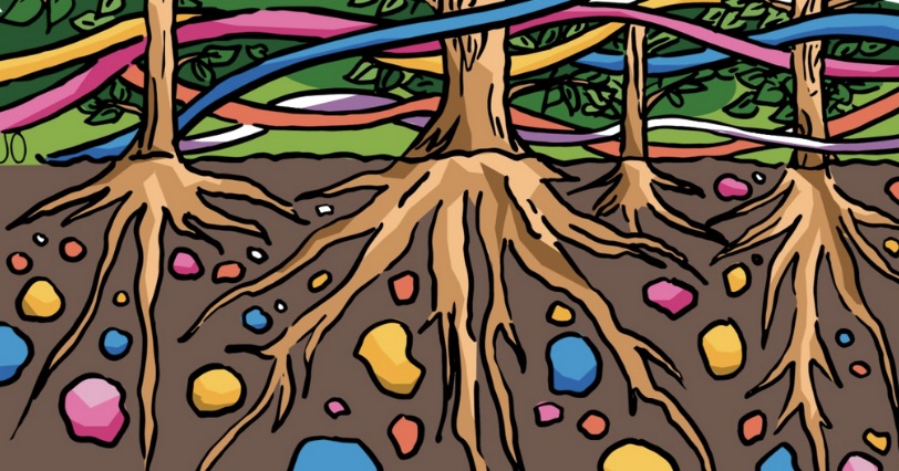 Community Engagement For Equitable Systems Change Network Weaver